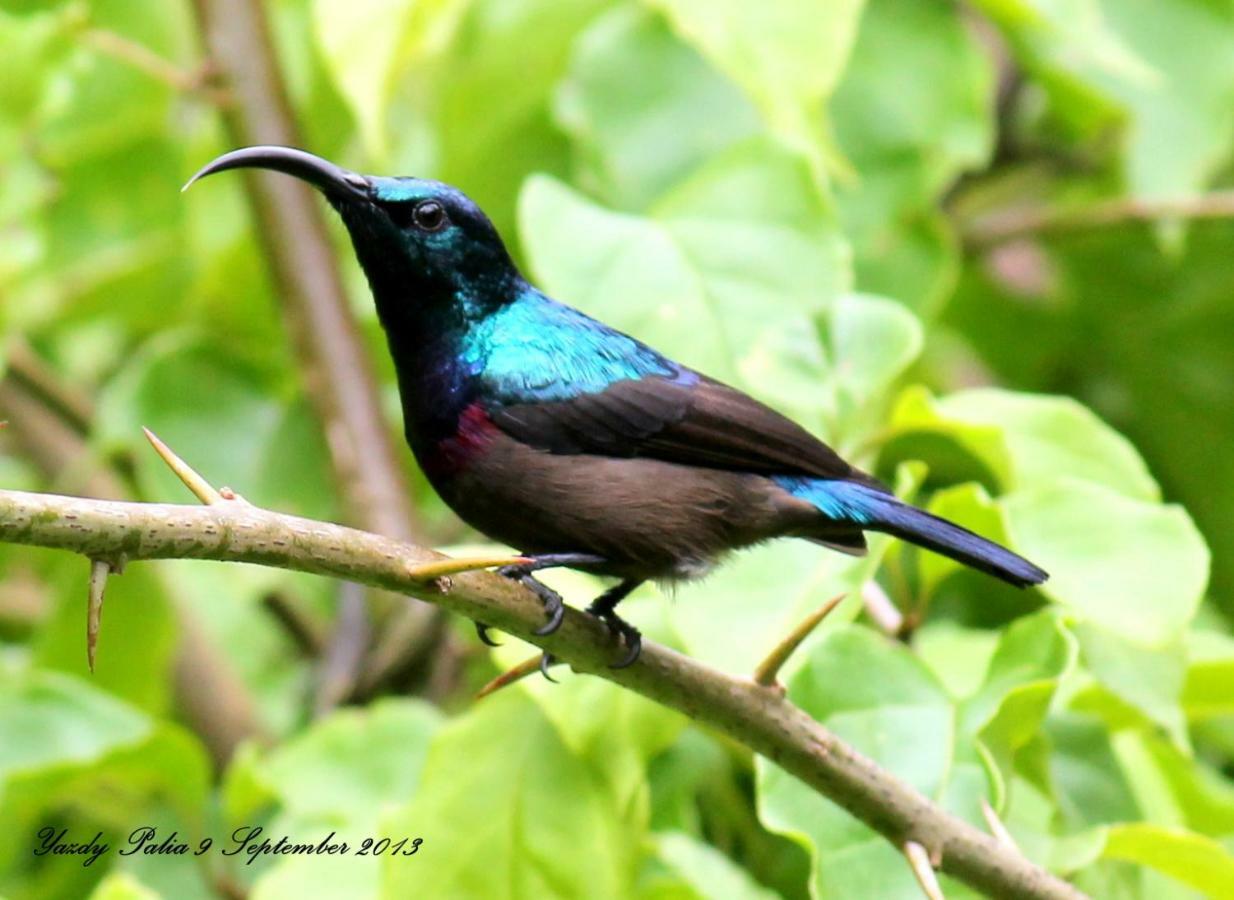 Woodside Homestay Wayanad Batheri Bagian luar foto