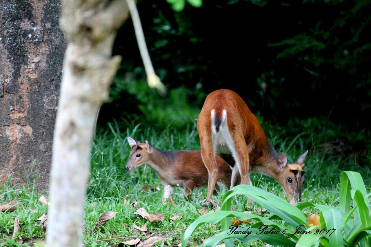 Woodside Homestay Wayanad Batheri Bagian luar foto
