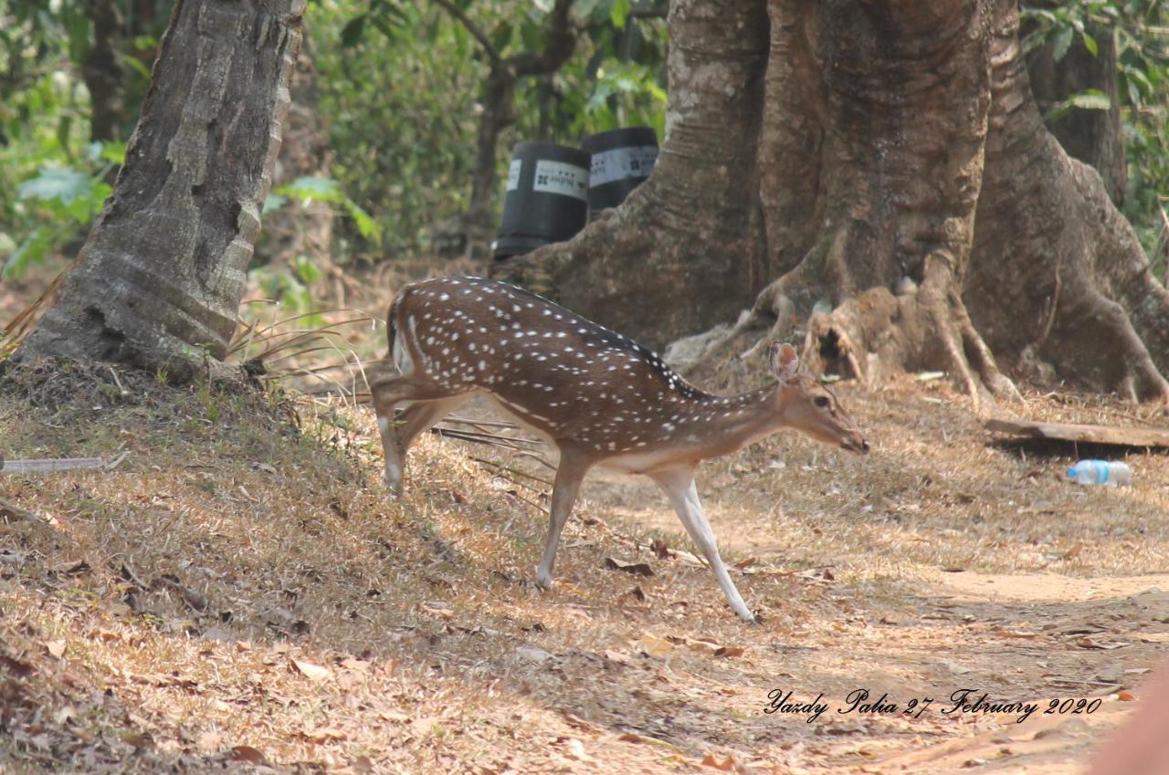 Woodside Homestay Wayanad Batheri Bagian luar foto