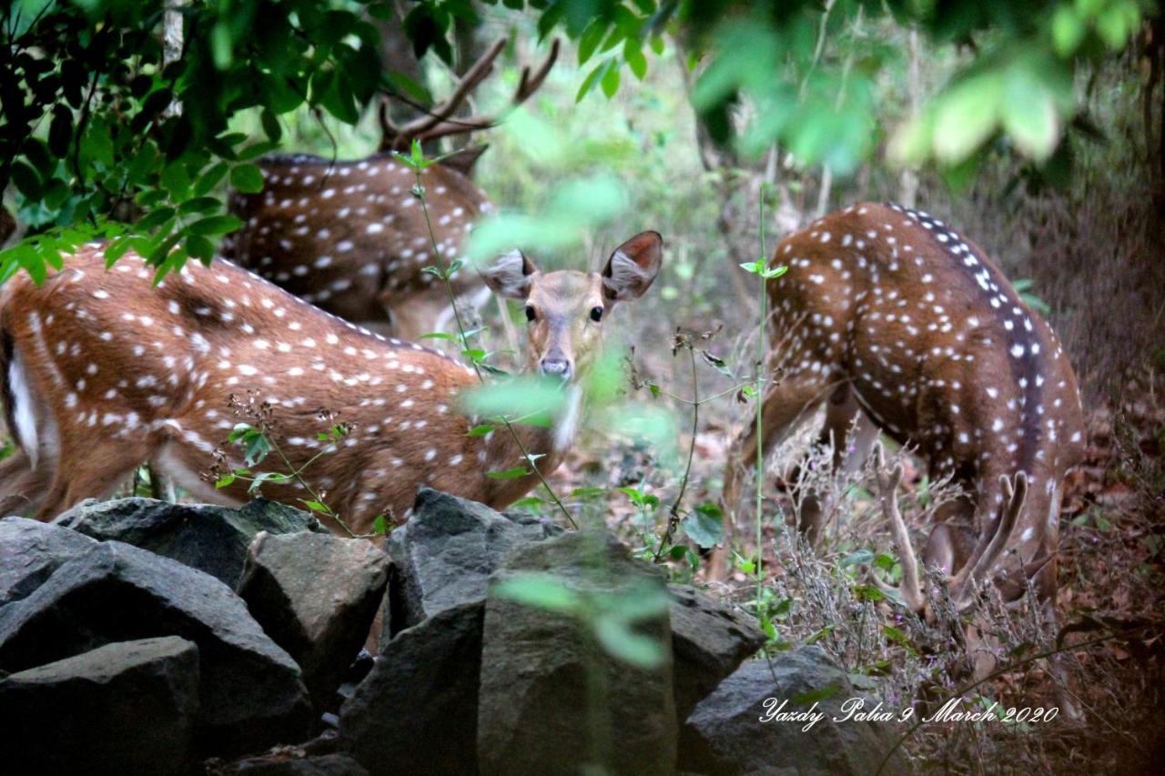 Woodside Homestay Wayanad Batheri Bagian luar foto